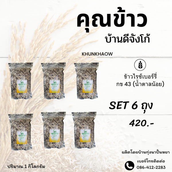 ข้าวไร้เบอร์รี่ ข้าว กข 43 (น้ำตาลน้อย)