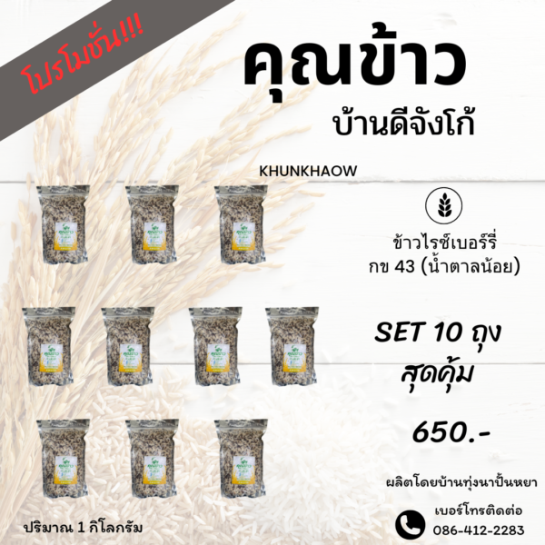 ข้าวไร้เบอร์รี่ ข้าว กข 43 (น้ำตาลน้อย)