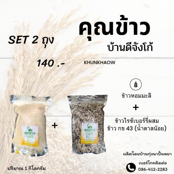 ข้าวไร้เบอร์รี่ ข้าว กข 43 (น้ำตาลน้อย)+ข้าวหอมมะลิ